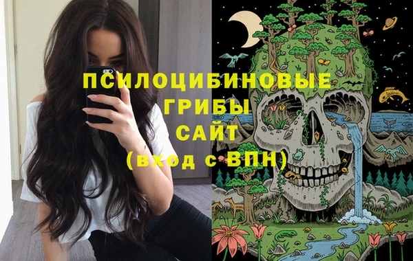 крисы Навашино