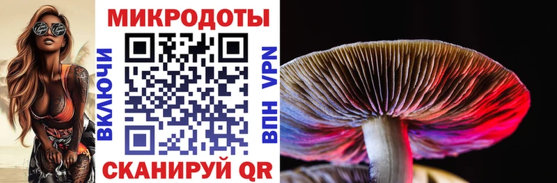 Галлюциногенные грибы мухоморы  Пудож 