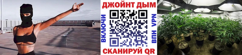 Канабис семена  Пудож 
